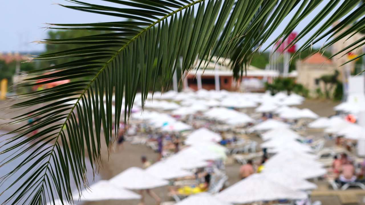 热带海滩的悠闲时光