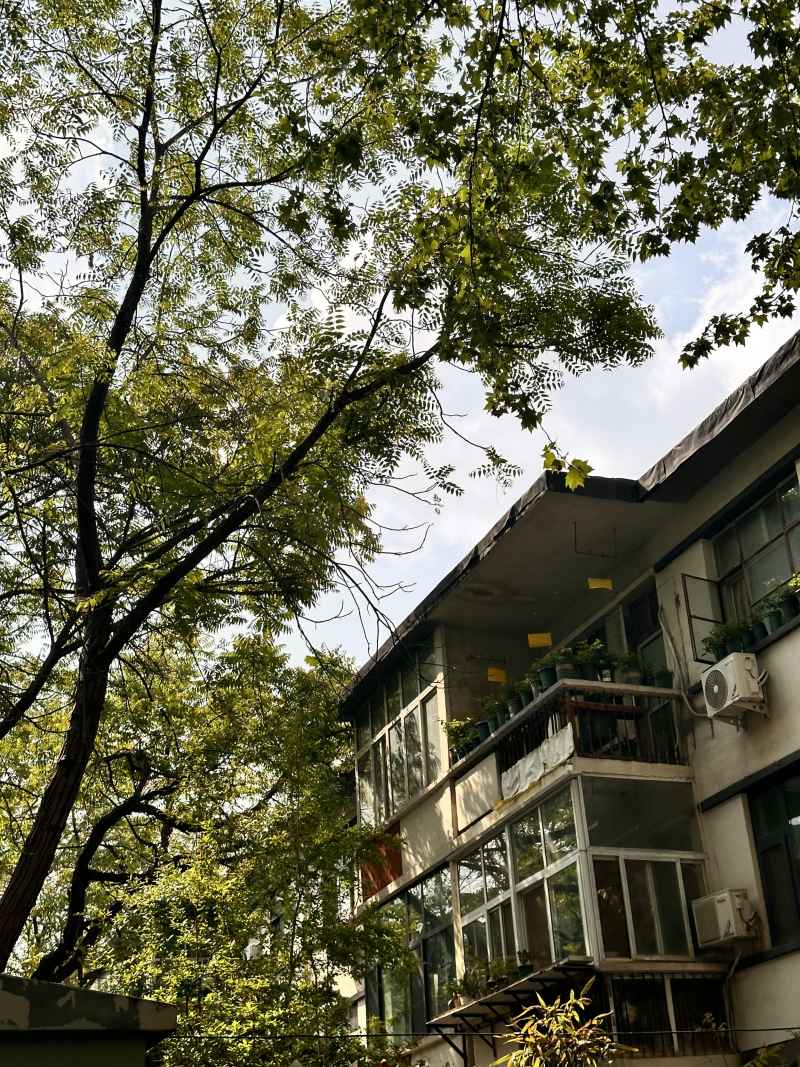 绿下小屋