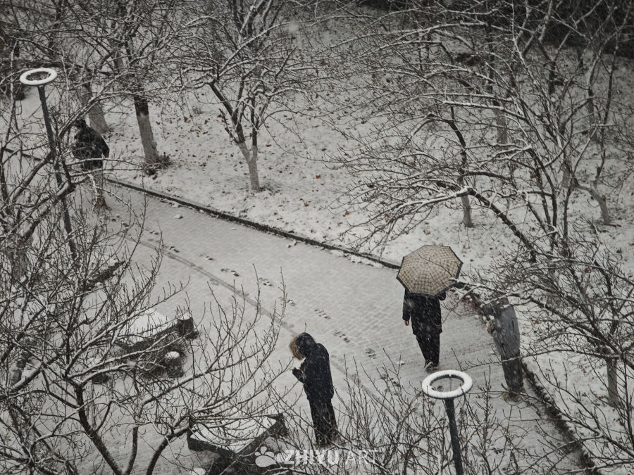 雪中漫步：冬日公园一角