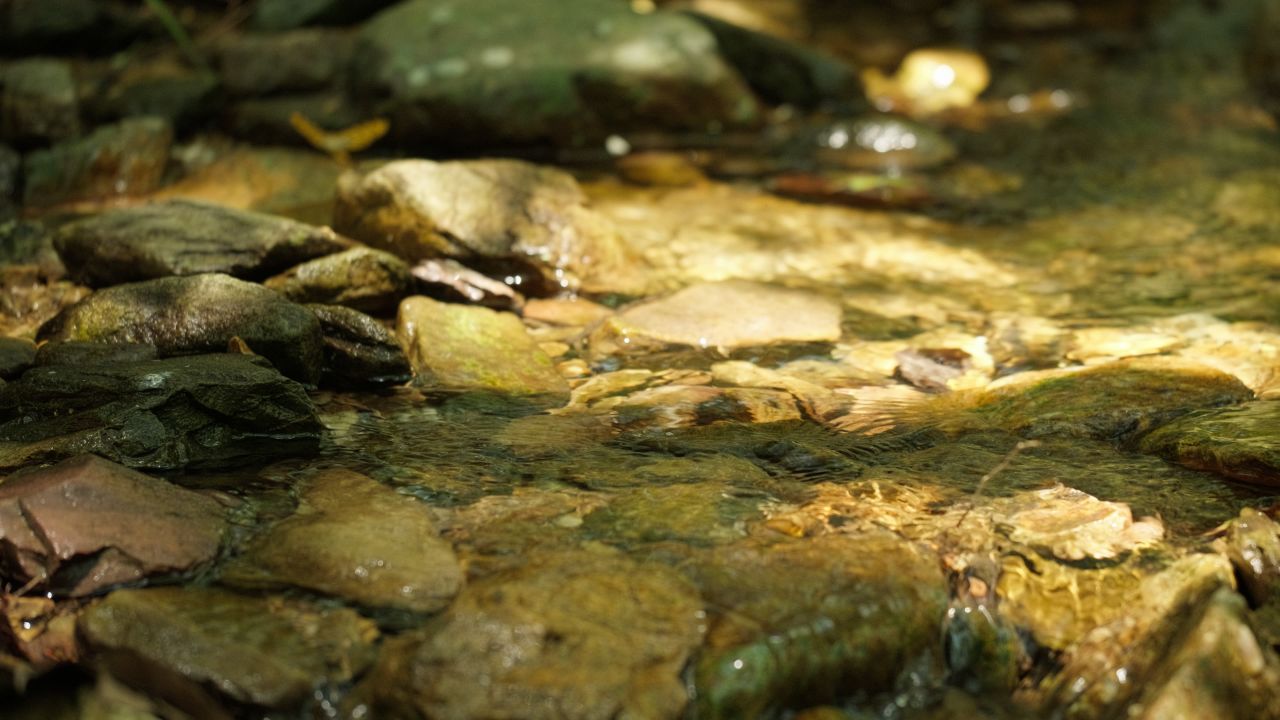 清澈山泉水温泉矿泉水小溪山涧 14