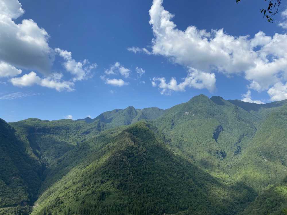 巴山大峡谷