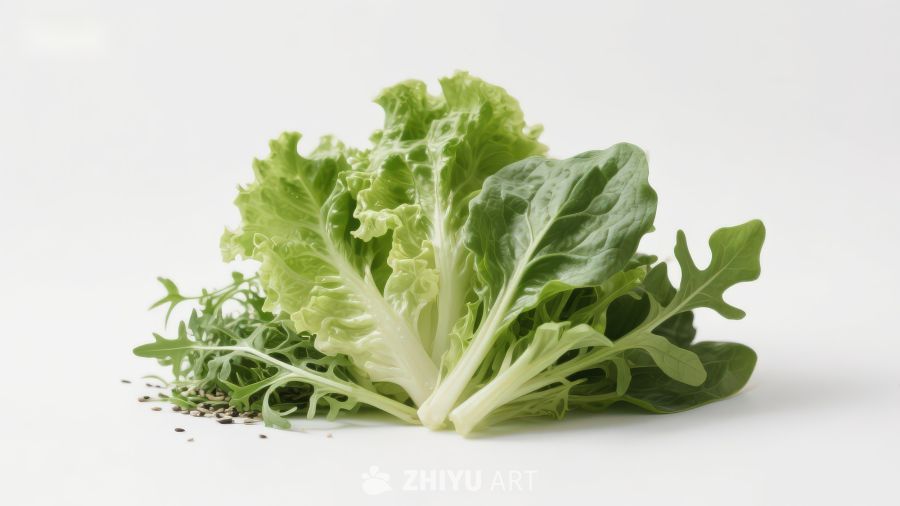 新鲜绿叶蔬菜特写