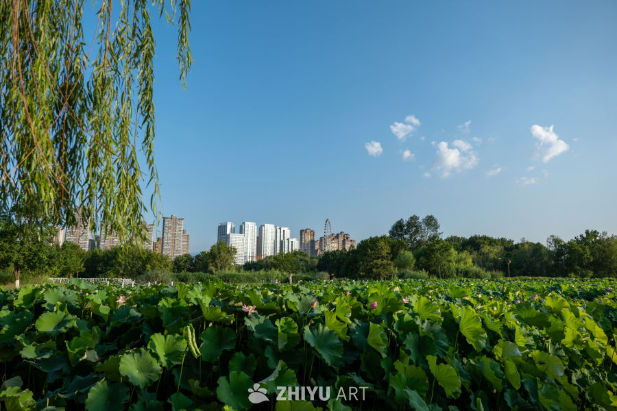 城市一角 87