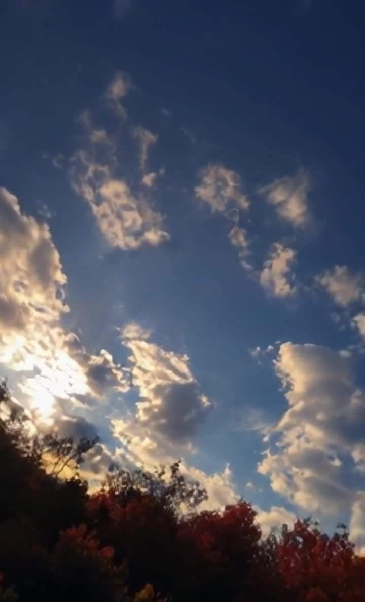 秋日夕阳：红叶映衬下的云朵天空