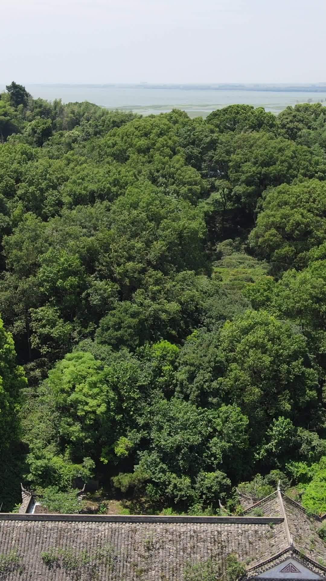 森林中的古建筑