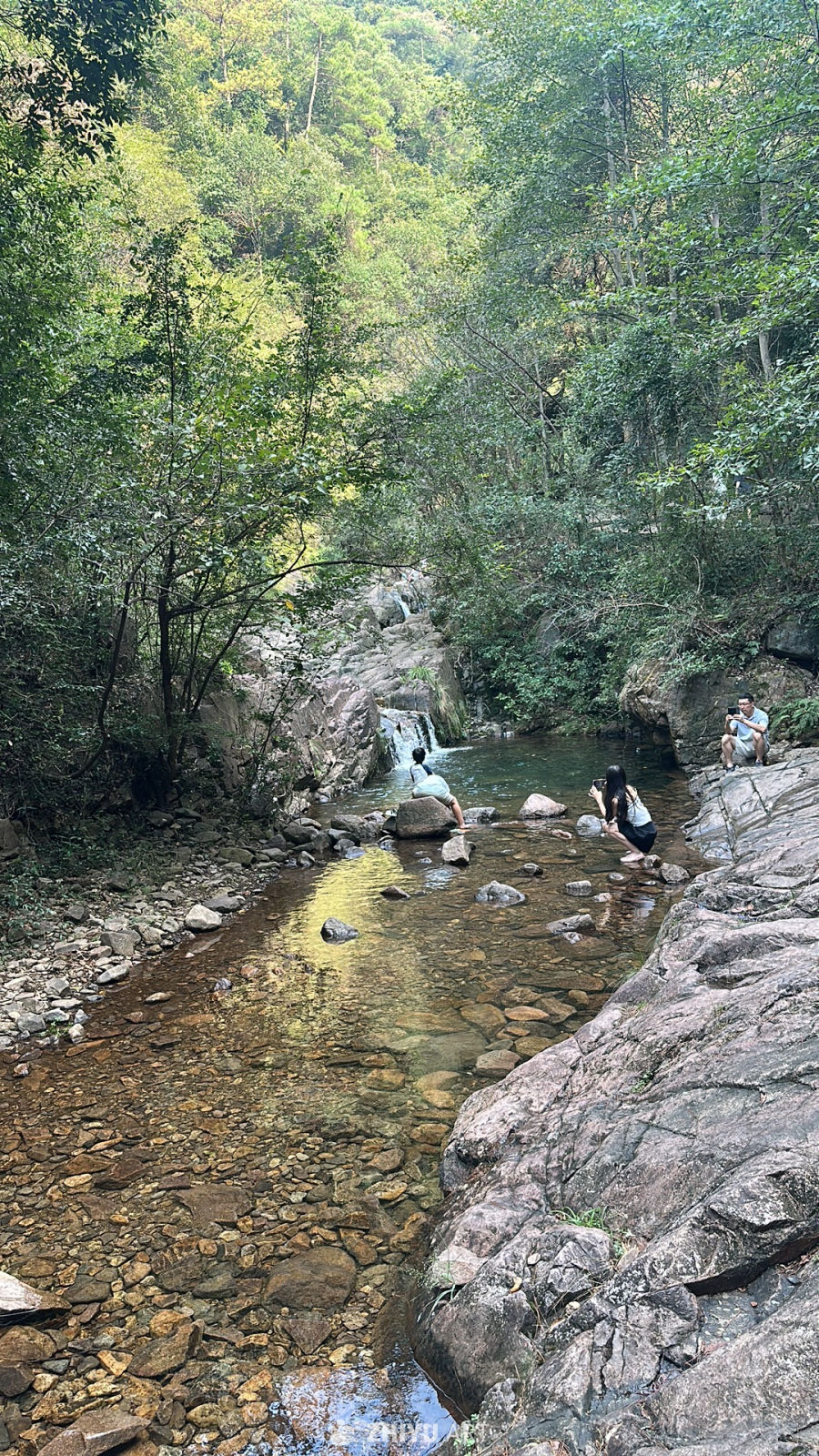 桐庐大奇山森林公园 5