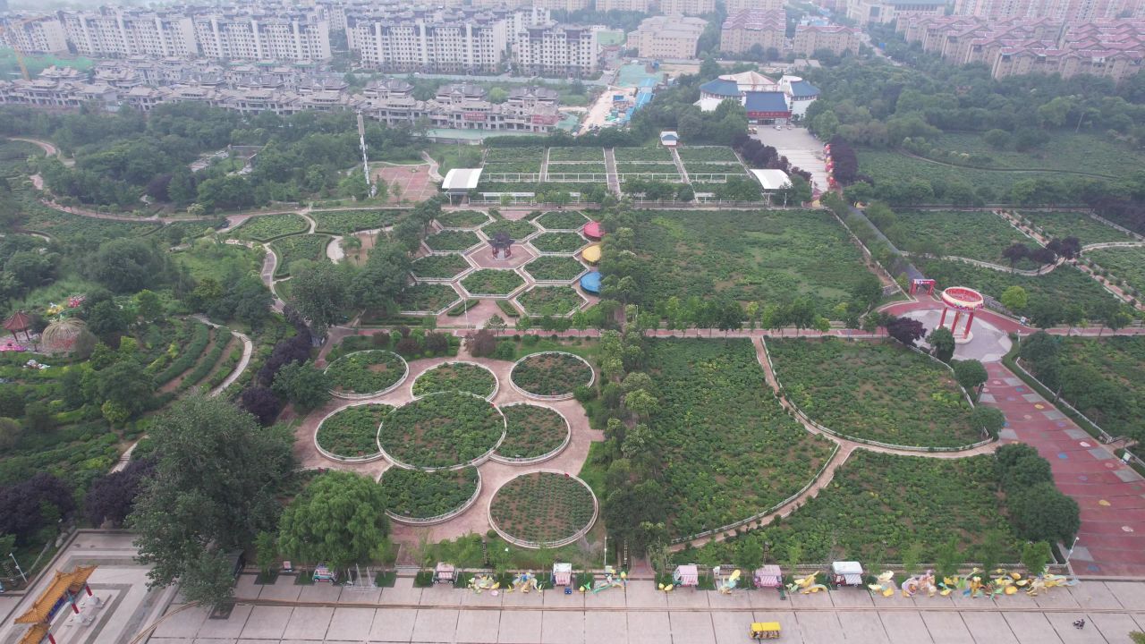 山东菏泽曹州牡丹园4A景区航拍 