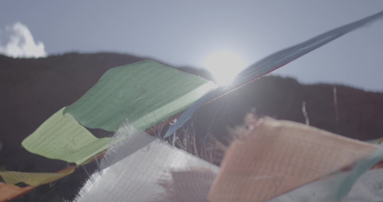 西藏经幡白马