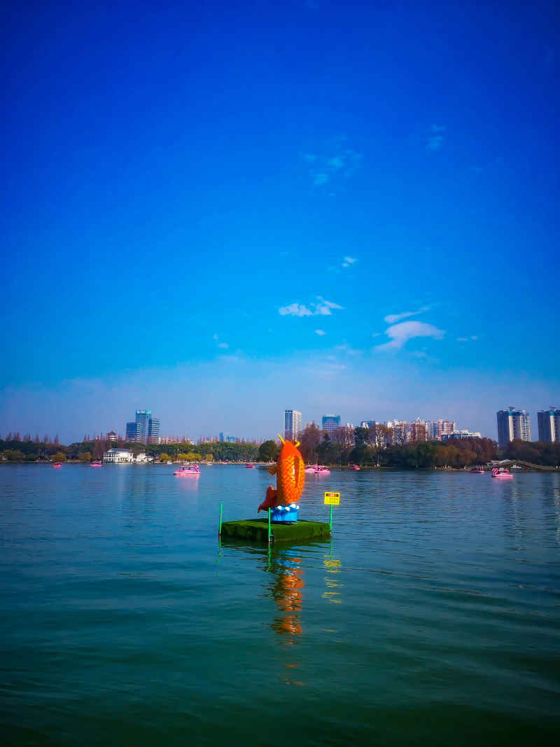 湖南长沙烈士公园年嘉湖风景摄影图