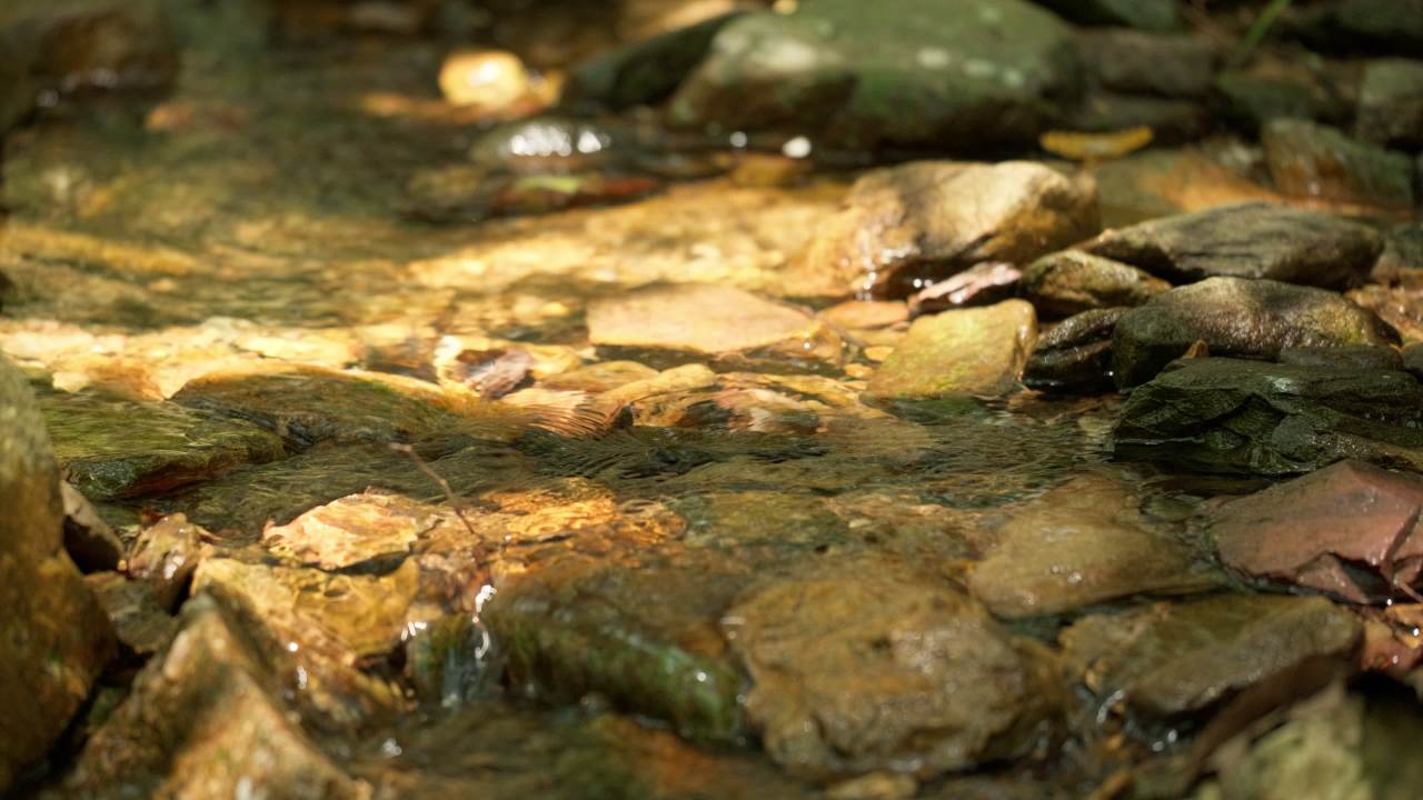 山泉水矿泉水潺潺小溪流水瀑布 34