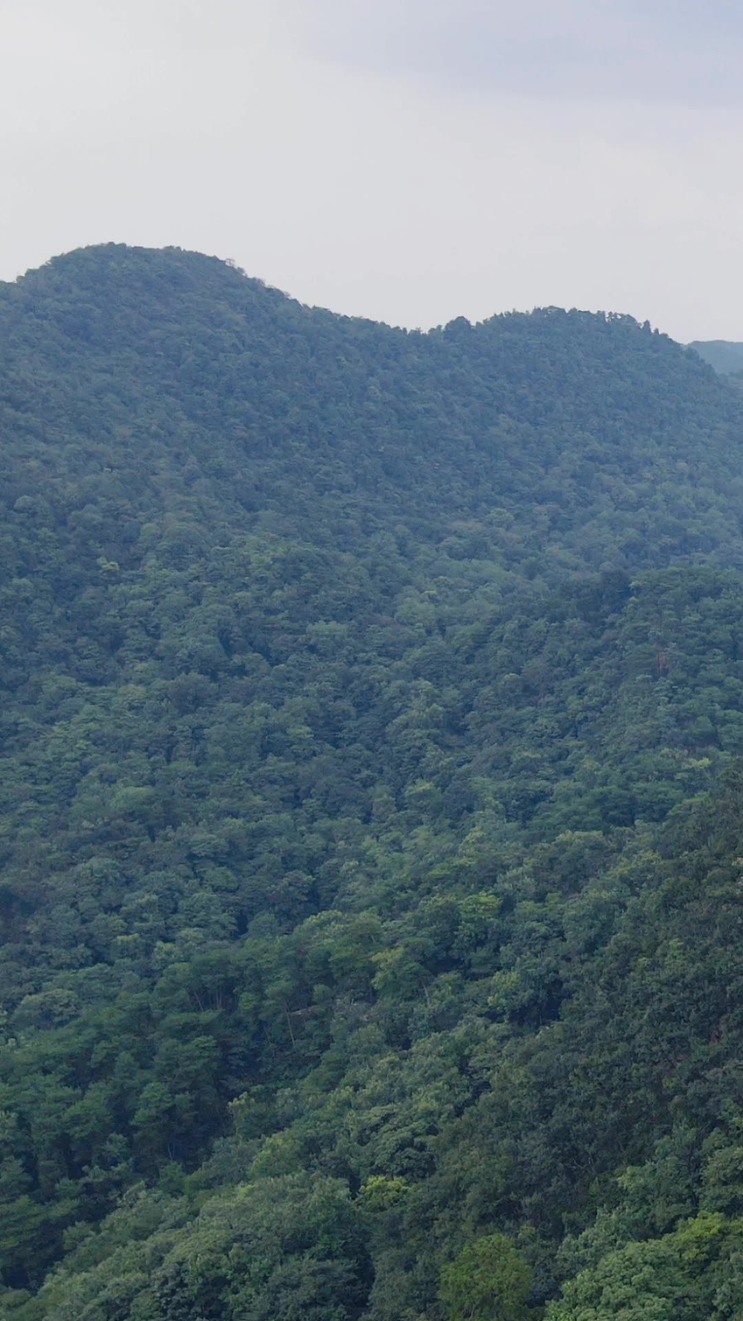 旅游景区贵阳黔灵山4A景区竖屏航拍