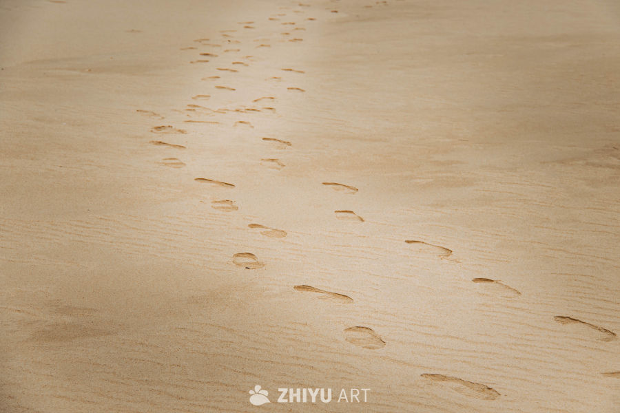沙滩上的脚印