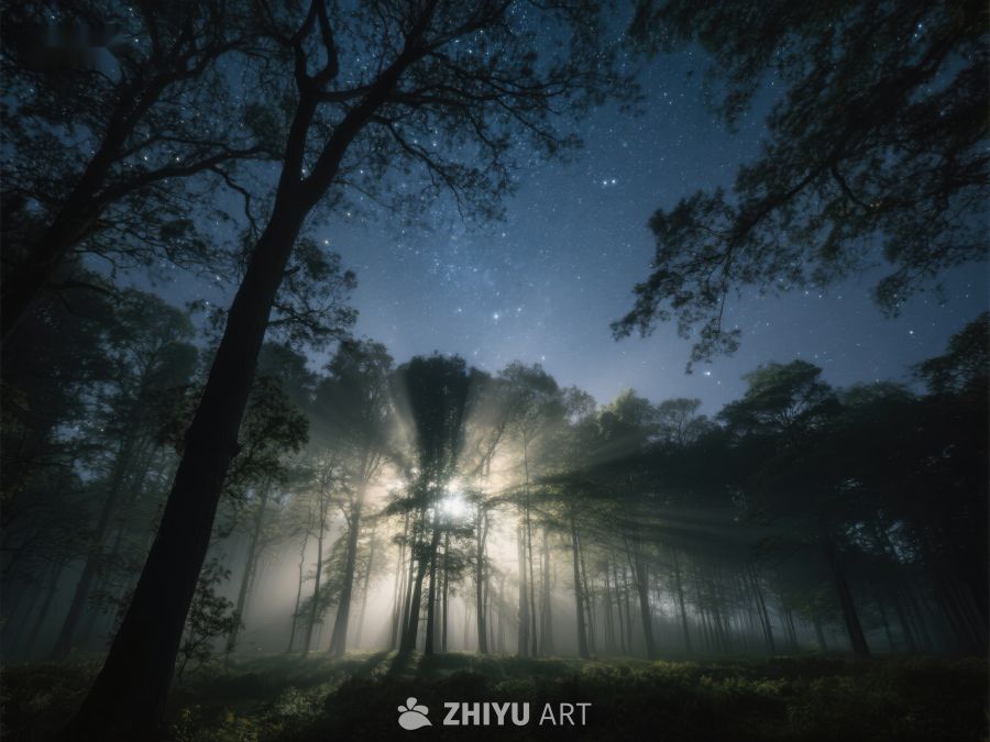 夜幕森林，星光与雾气交织 470