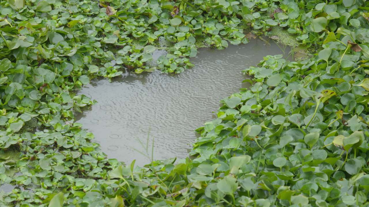 一天下雨水滴 17