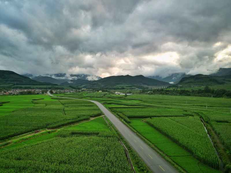 DJI_0606-01-01 3
