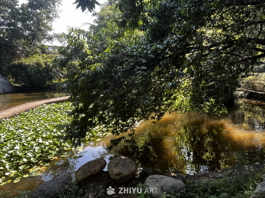 河畔静谧时光