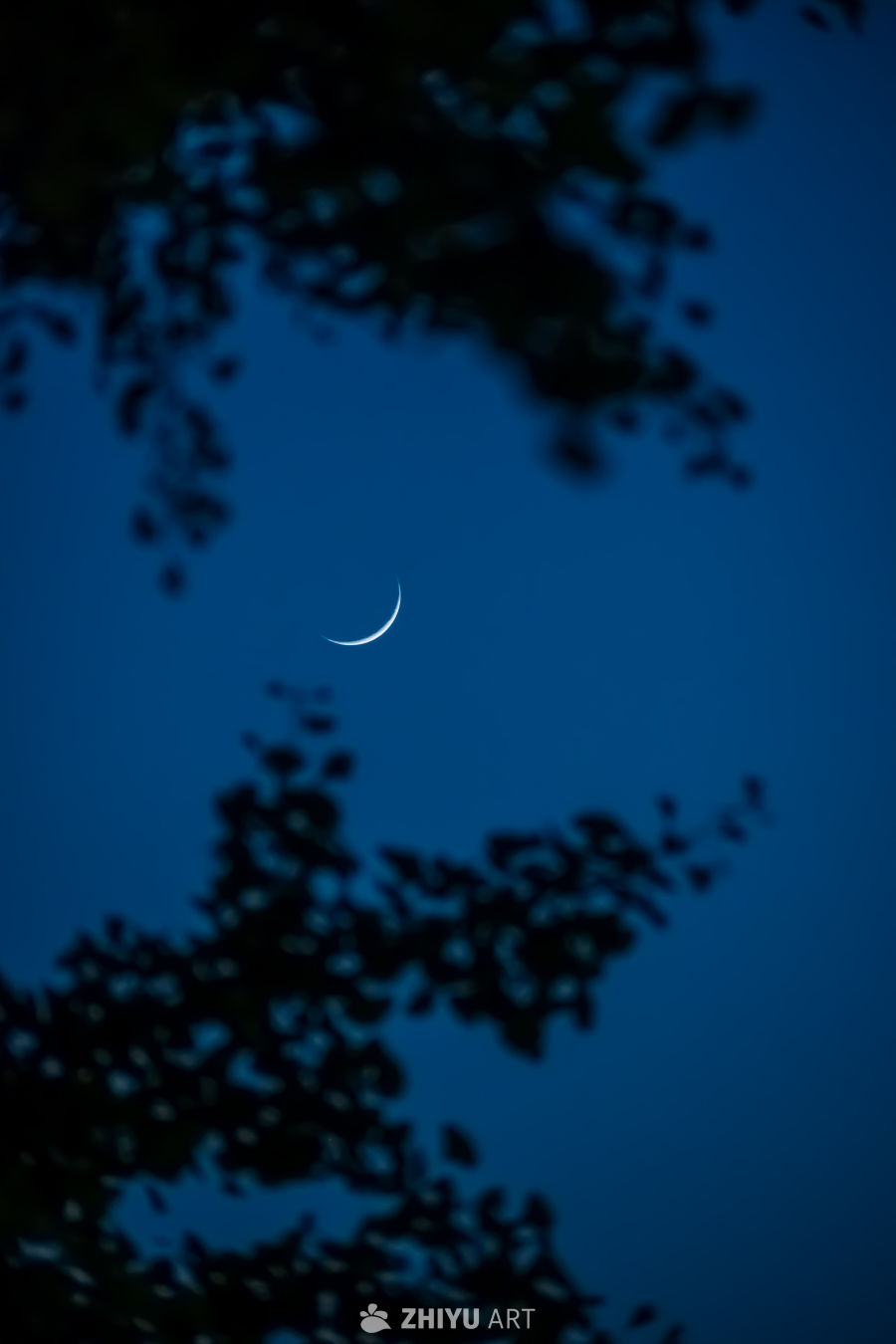 新月夜景