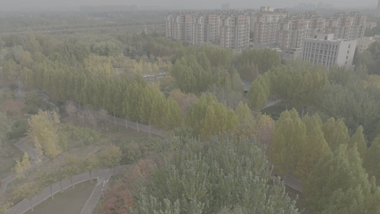 城市中的绿洲