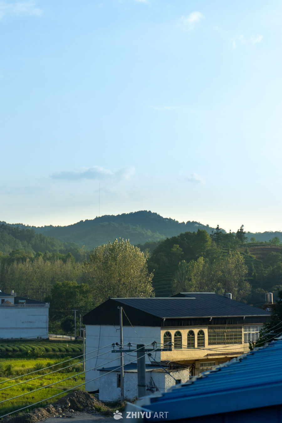 乡村晨景：宁静的田园风光