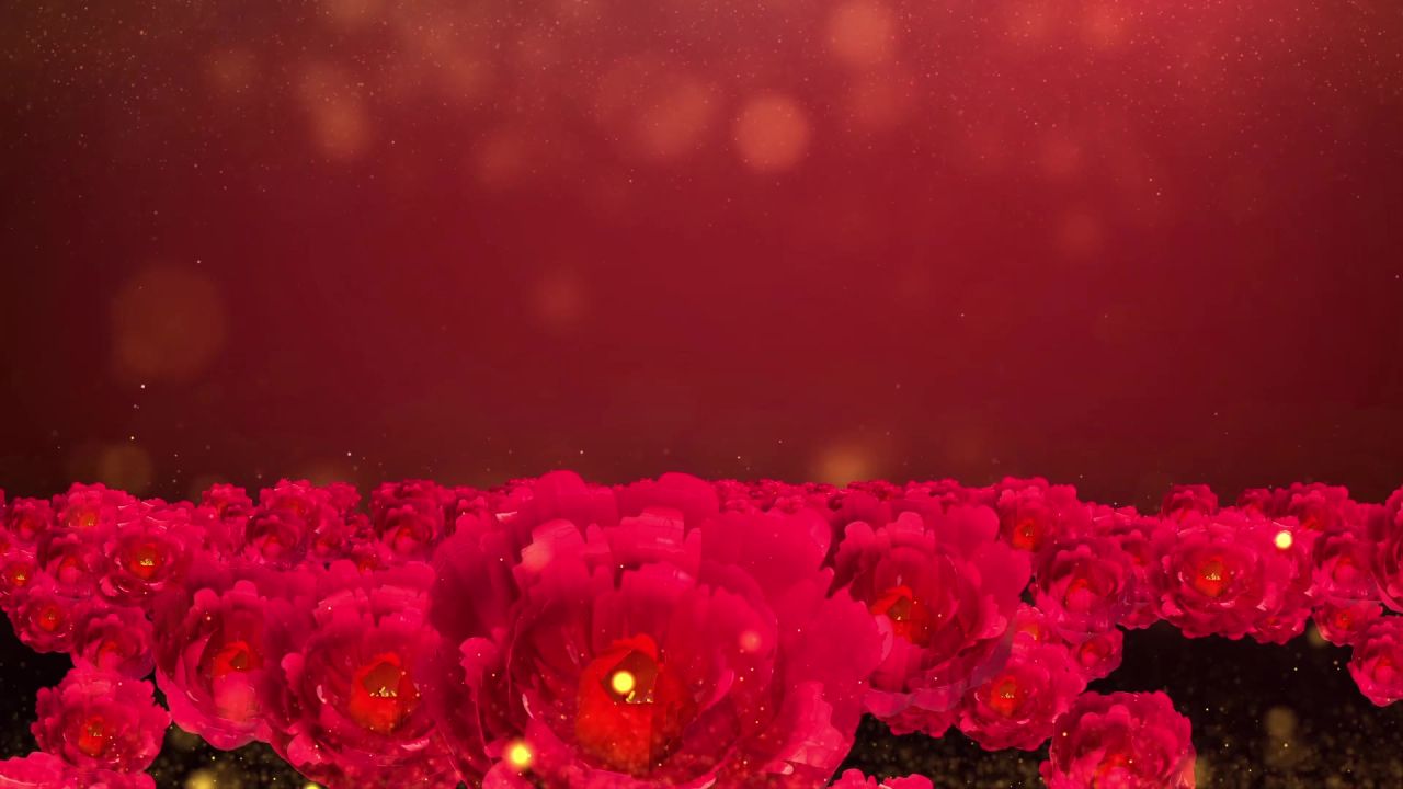 唯美花海向日葵盛世花开花朵鲜花花瓣婚礼飞舞台背景LED视频素材 73