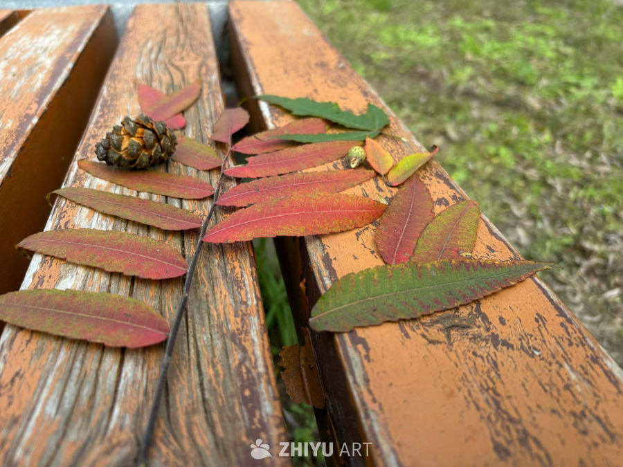 秋日长椅上的静美