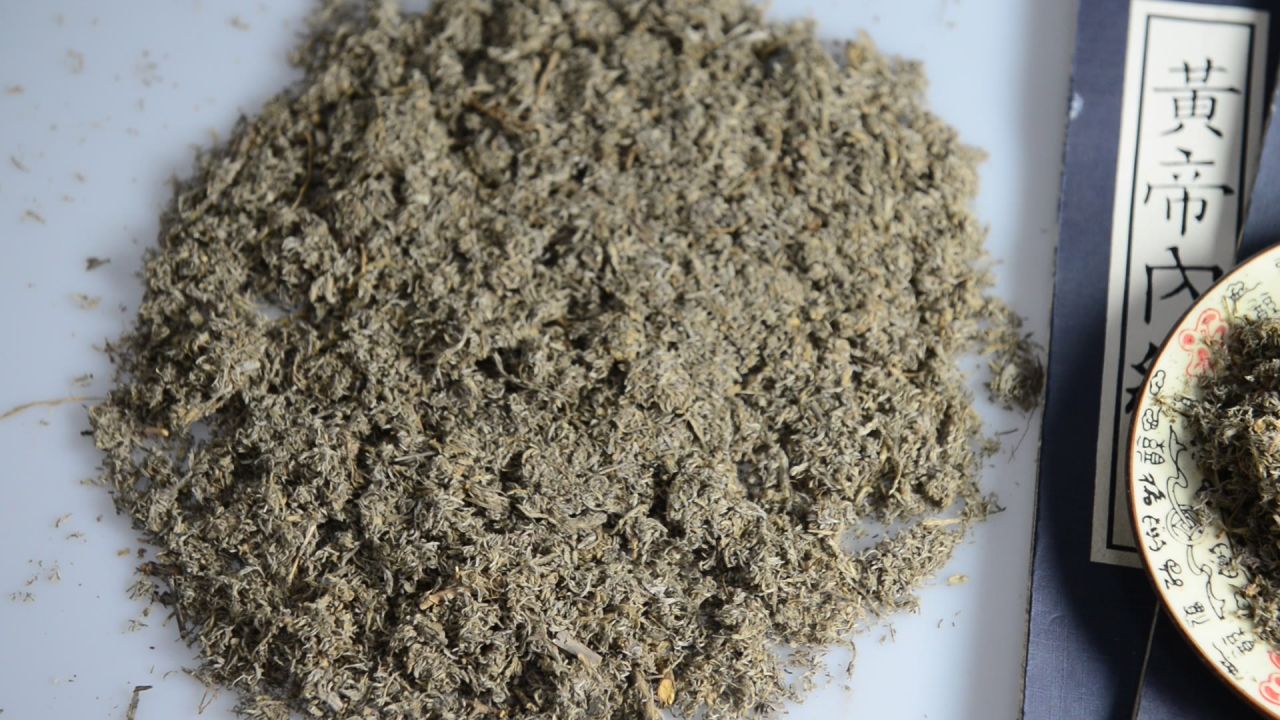 中药材茵陈 20