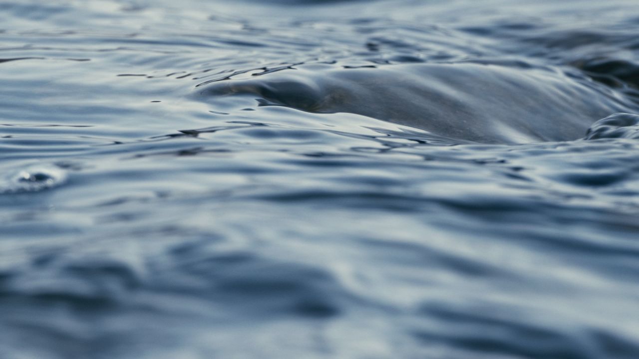 江河湖海洋水面海面波浪波纹海浪 6