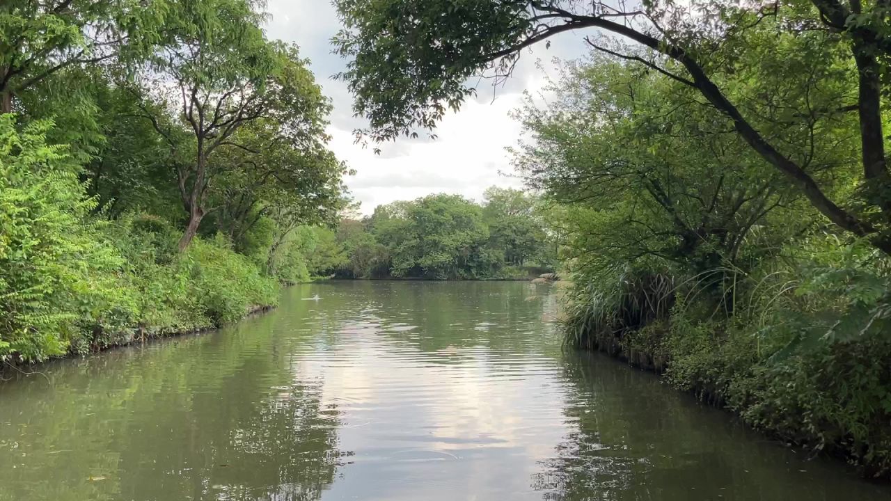 杭州西溪湿地
