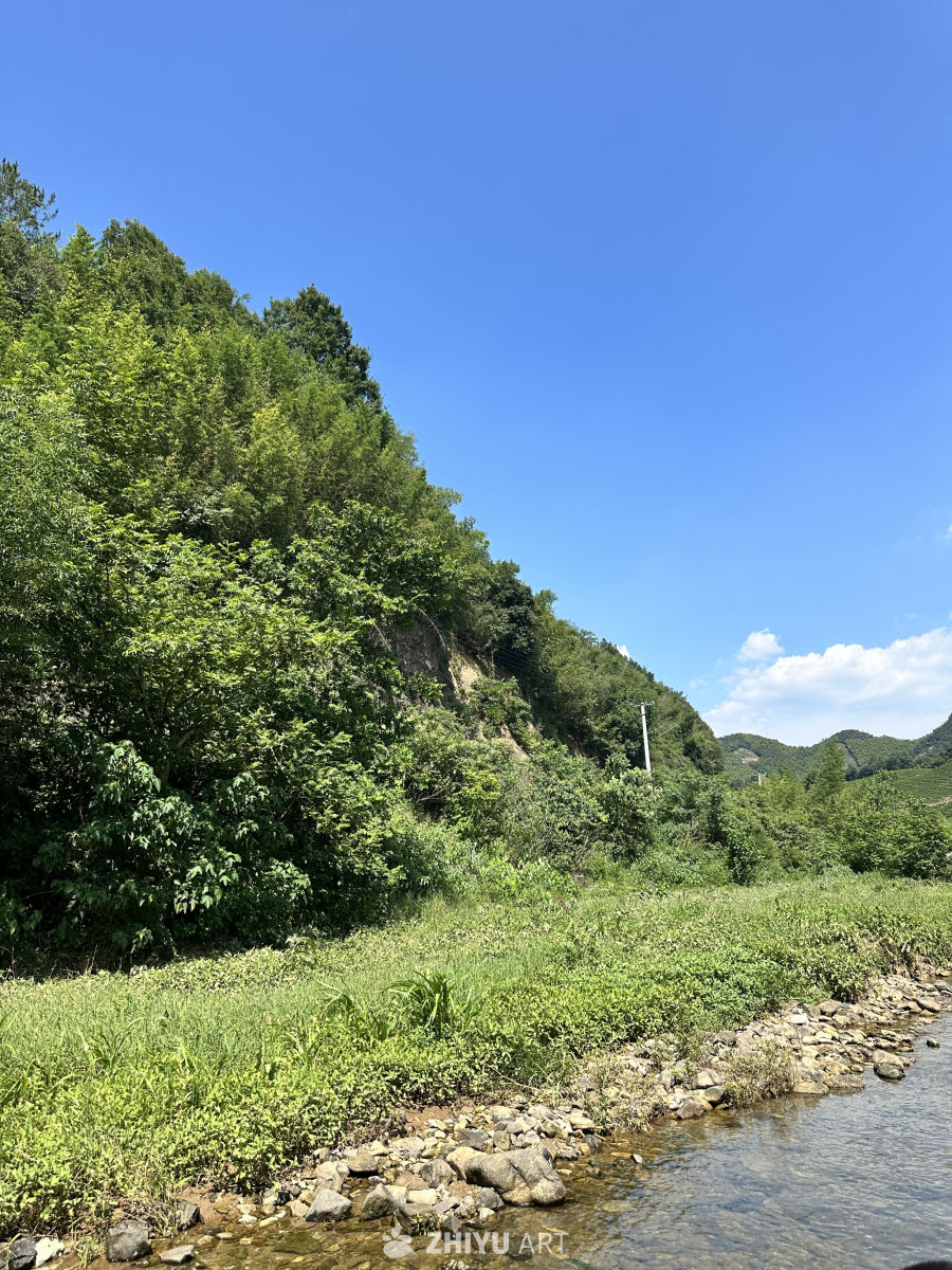 小溪一角