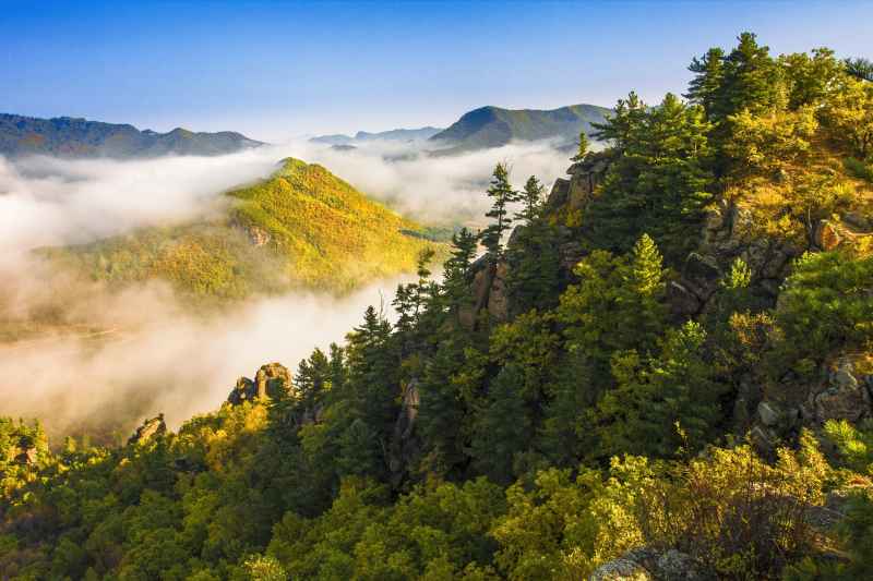 秋天 秋色 云雾 云雾缭绕 山 山峦 五花山 天空 航拍 秋色 秋韵 北国之秋 树 山林 树林