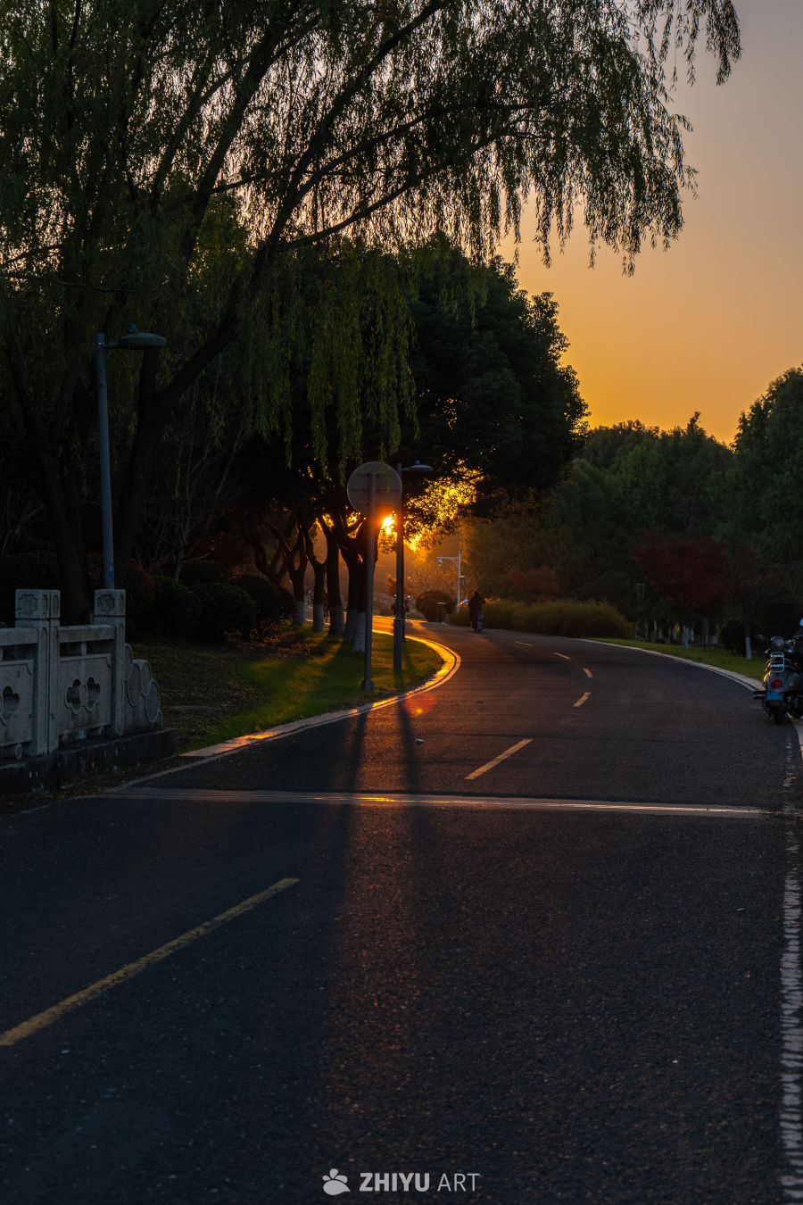黄昏下的静谧道路