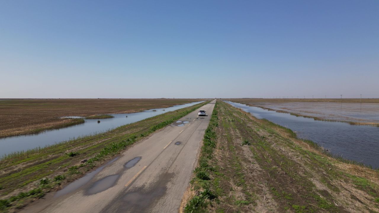 汽车行驶在湿地保护区内
