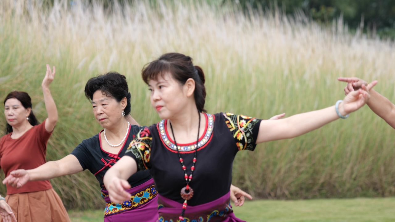国庆江边芦苇荡 26