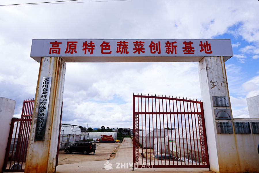 文山州农业科学院蔬菜研究所试验基地