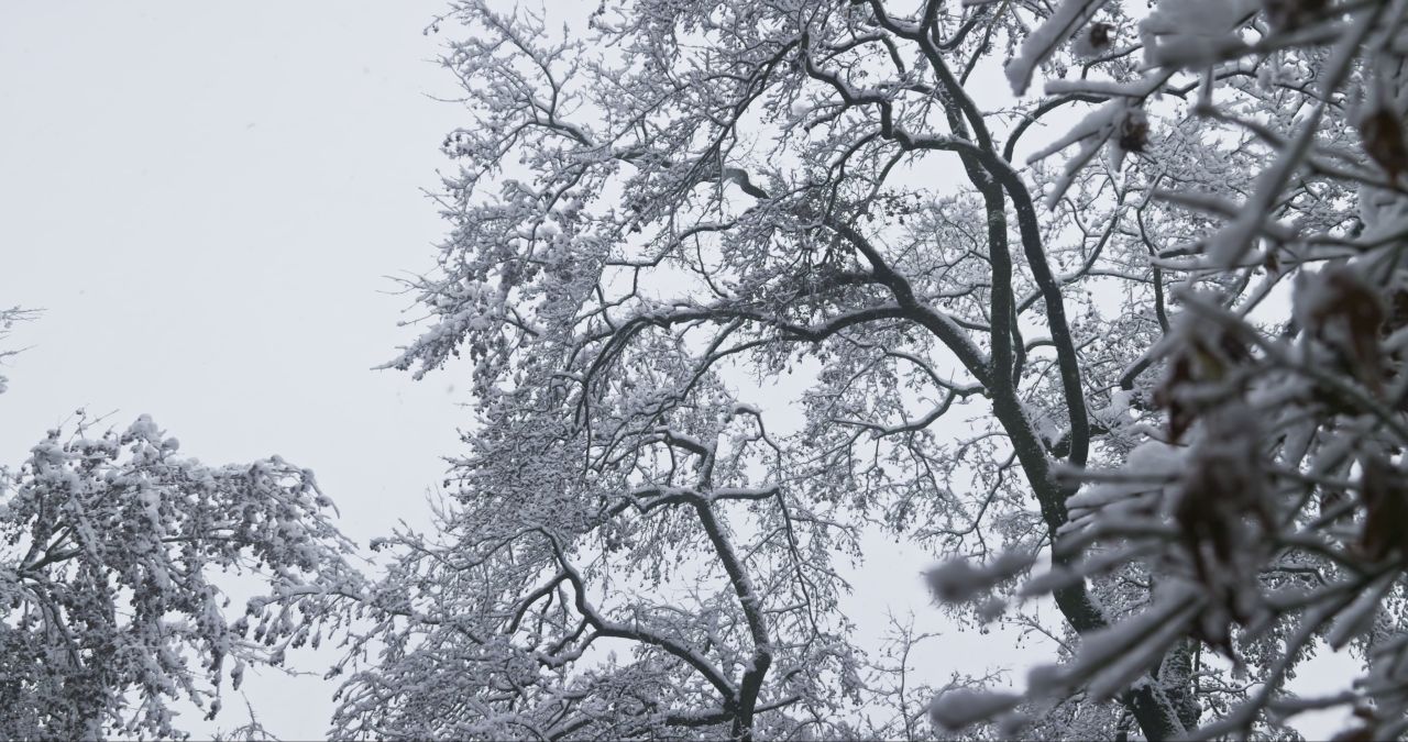湖南长沙岳麓山爱晚亭城市雪景风光 12