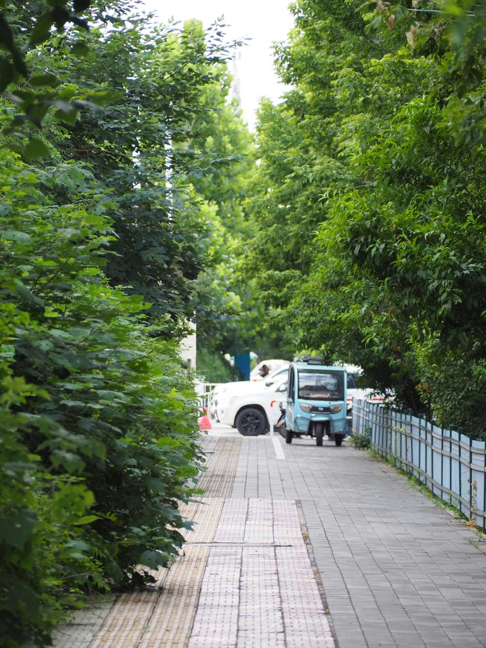 植物园采风