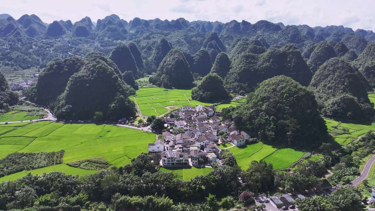 4k航拍贵州稻谷水稻田园乡村振兴乡村旅游