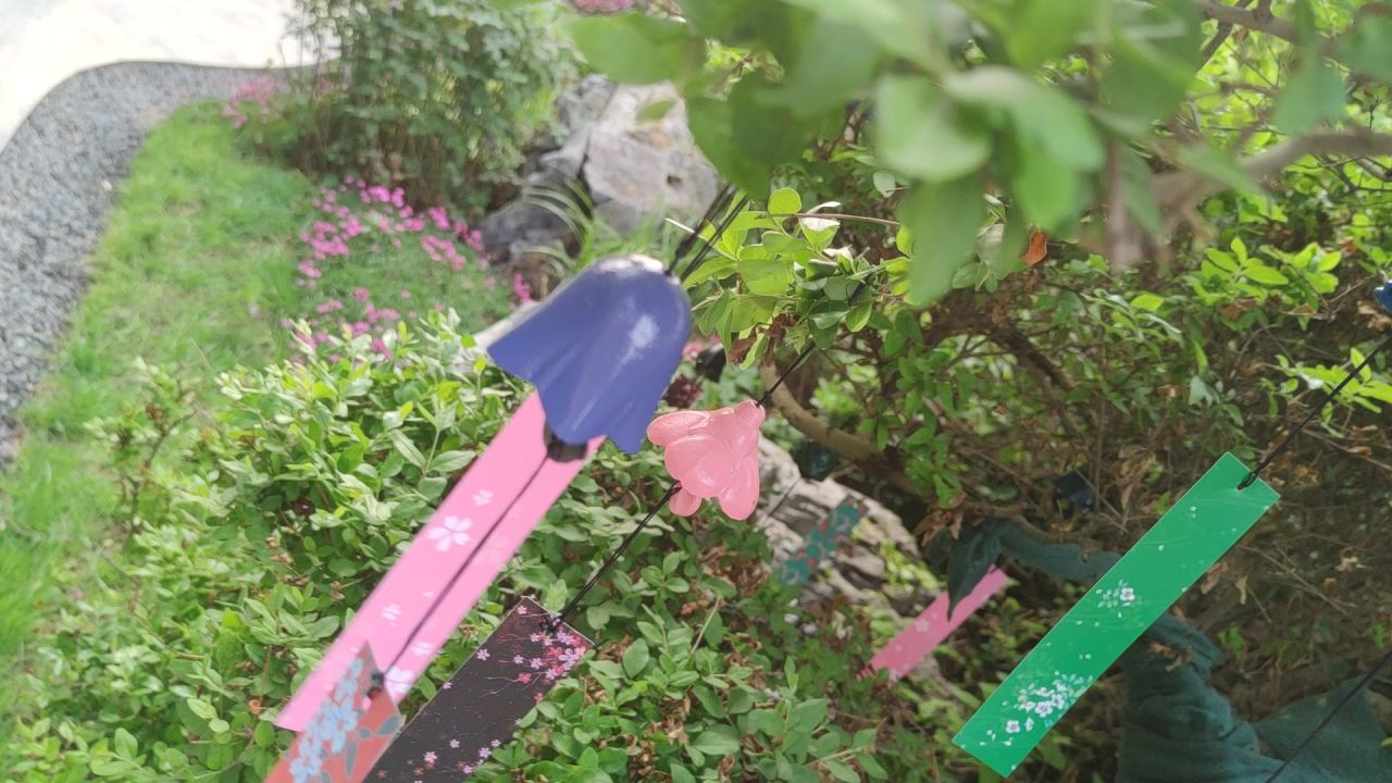 风景