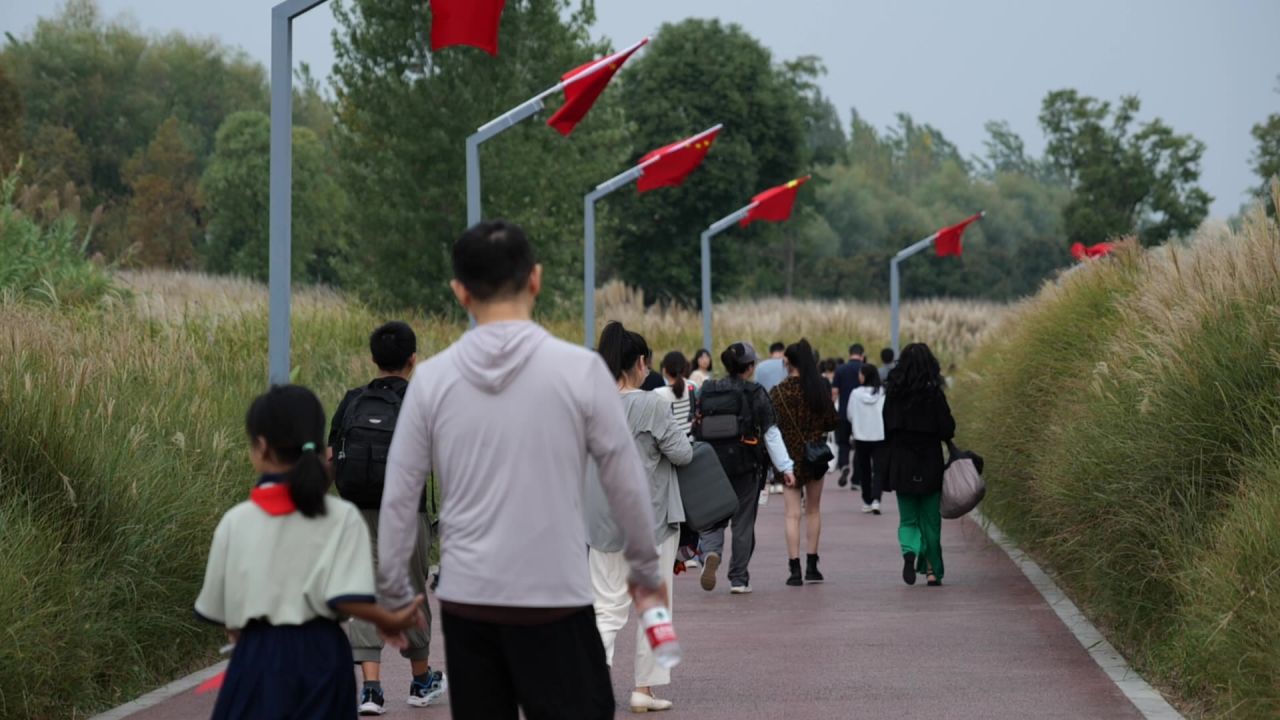 国庆江边芦苇荡 4
