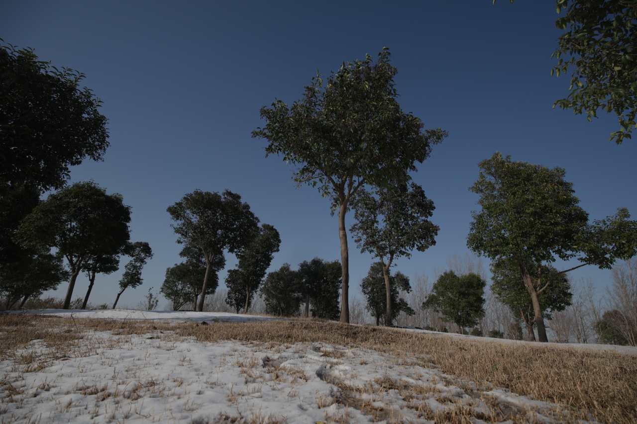 A_0004C402H251213_1443339I_CANON