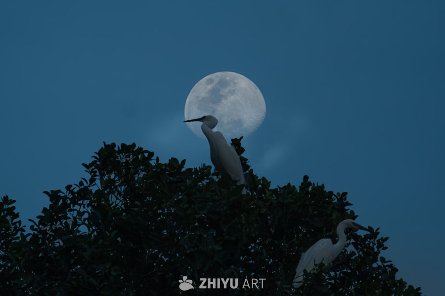 月上柳梢头