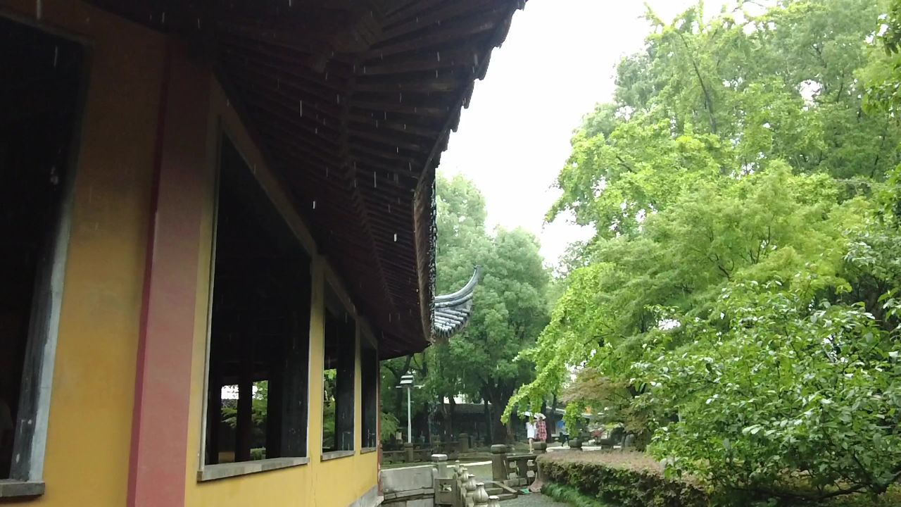 下雨素材雨水雨滴实拍 