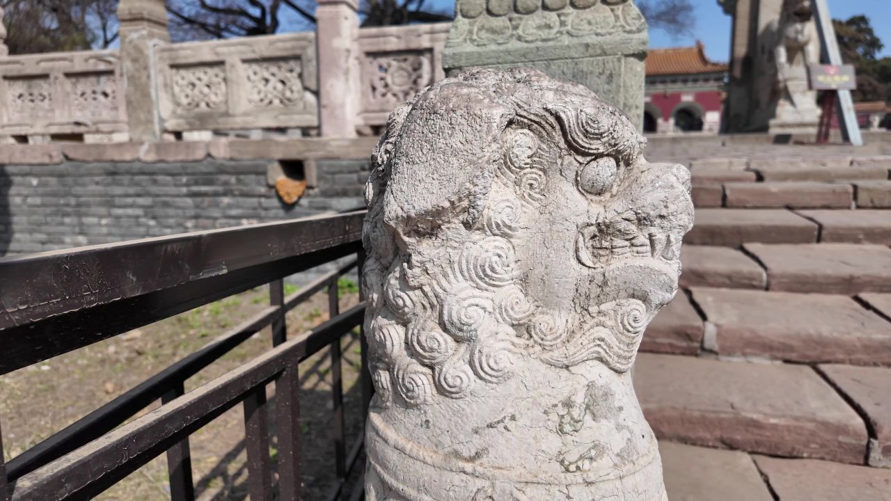 沈阳北陵公园 21