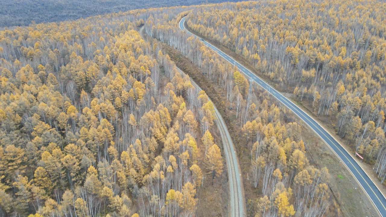 航拍内蒙古茫茫大兴安岭原始森林中的公路和铁路