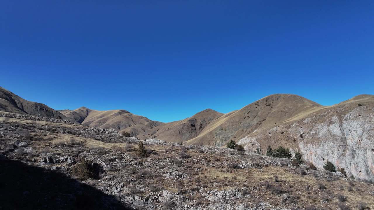 壮观森林峡谷全景航拍