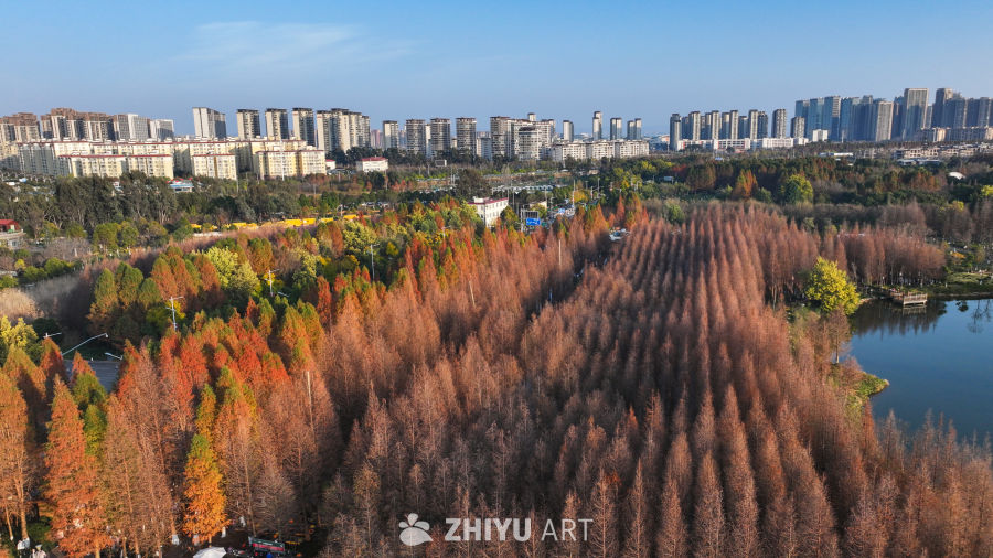航拍云南昆明海洪湿地公园 1