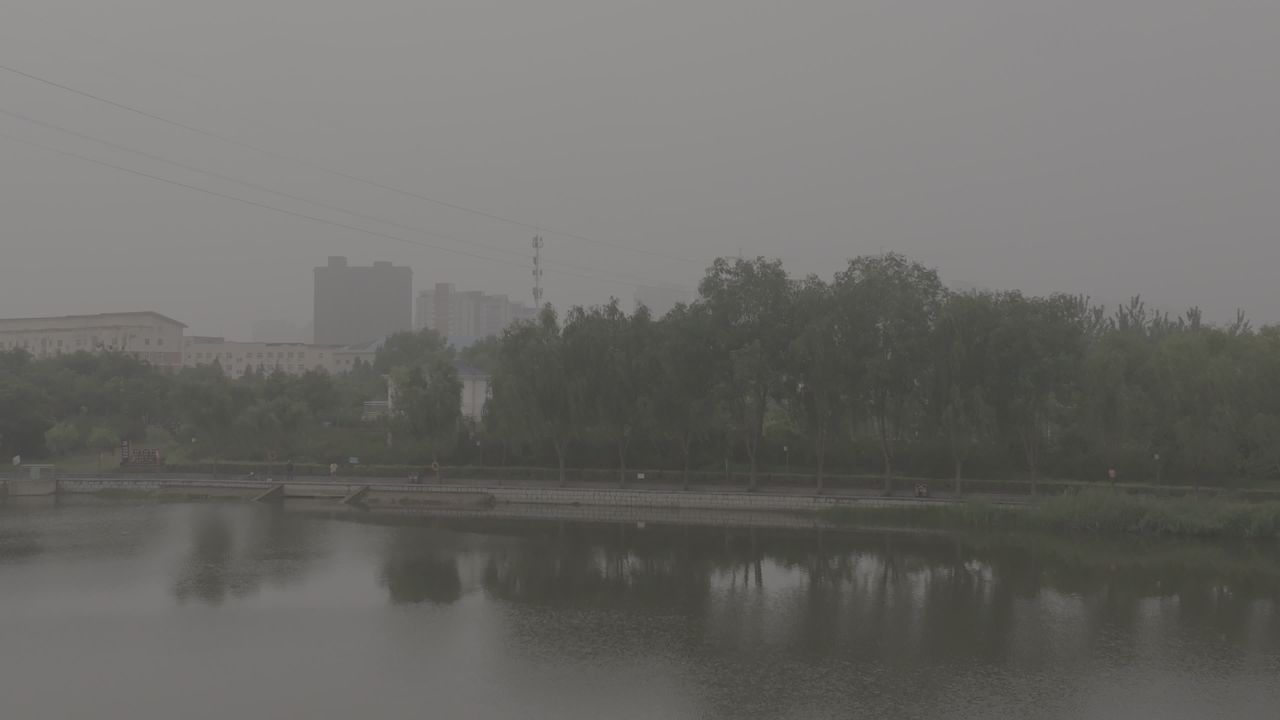 雾中湖畔静谧时光