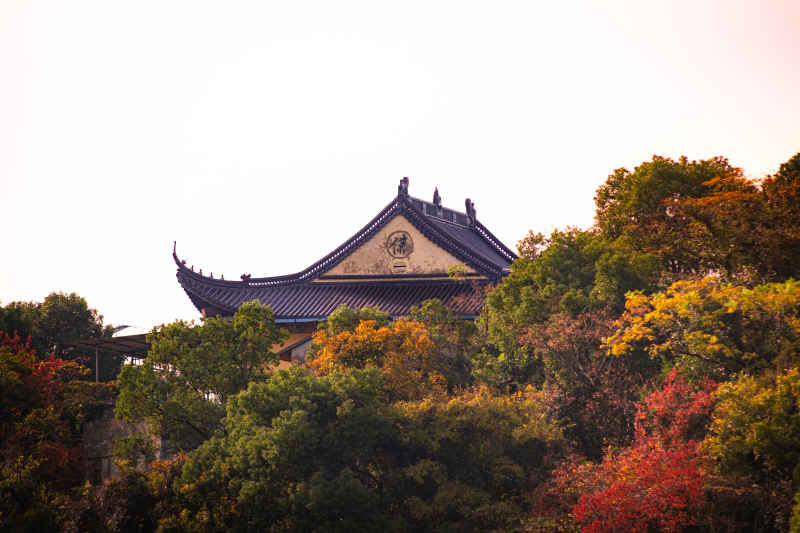 秋日后山