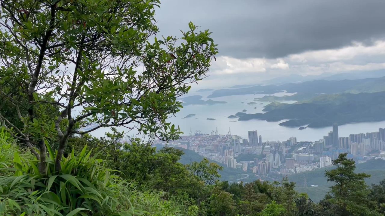 从山上俯瞰海湾