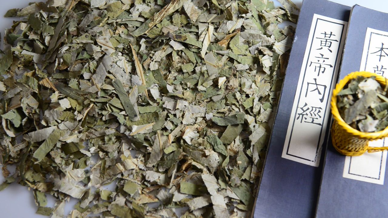 荷叶中药材 25
